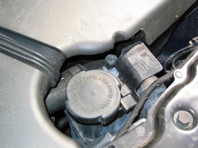 Close up of Radiator Cap & Vent Screw